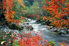 荊竹山