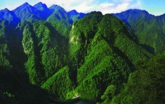 十一假期，爸爸媽媽帶我去井岡山游玩，我高興