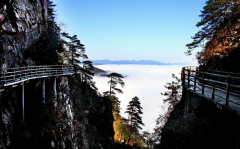 湖北省潛江市至江西省井岡山市自駕游怎么走