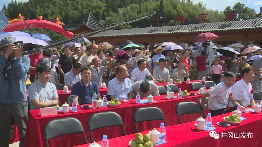 井岡山柰李文化旅游節(jié)開(kāi)幕