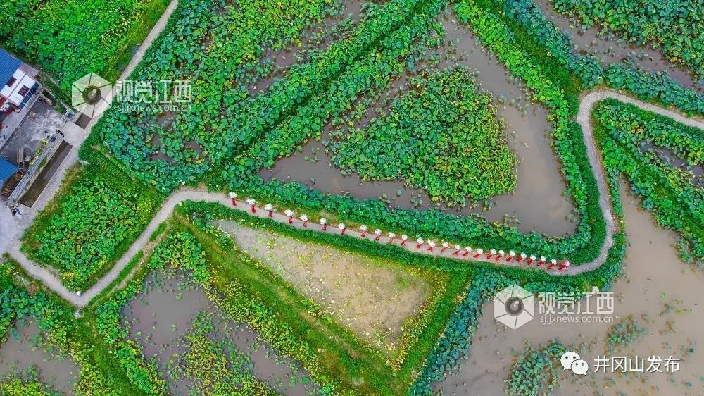 航拍革命圣地井岡山