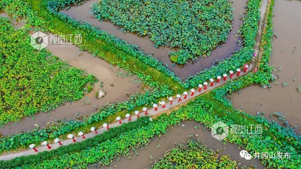 航拍革命圣地井岡山