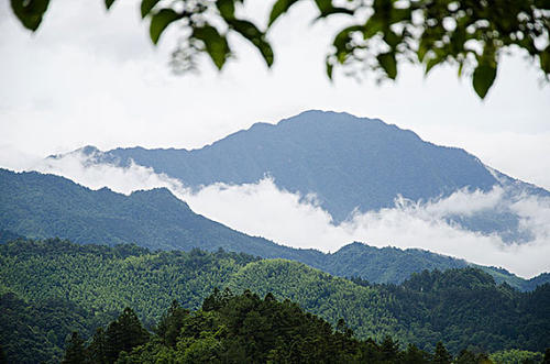 高分誠詢：井岡山機場到吉安市中心怎么走？