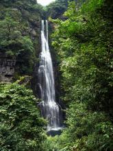 井岡山4日游旅游費用是多少啊-