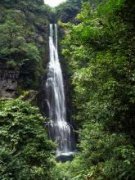 井岡山4日游旅游費用是多少啊-