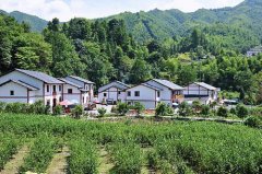 從泰和到井岡山機場開車要多久？