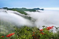 井岡山風(fēng)景區(qū)門票價格多少錢一張？去井岡山風(fēng)景區(qū)游玩門票多少錢一張？