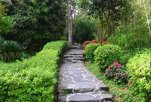 井岡山旅游一日游最佳 路線(xiàn)二