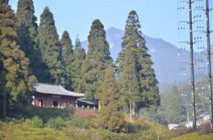 五悅景區(qū)連鎖酒店（井岡山分店）請(qǐng)問距離游客