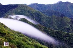 長沙市到井岡山自助游攻略？_旅游