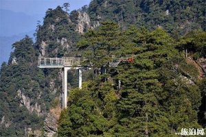 2025井岡山杜鵑山景區(qū)介紹 - 門(mén)票價(jià)格