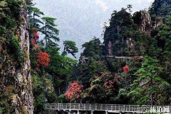 2023井岡山杜鵑山景區(qū)介紹 - 門(mén)票價(jià)格 - 游玩攻略