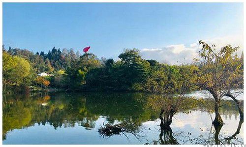 游井岡山自助攻略探尋紅色革命圣地的完美旅程